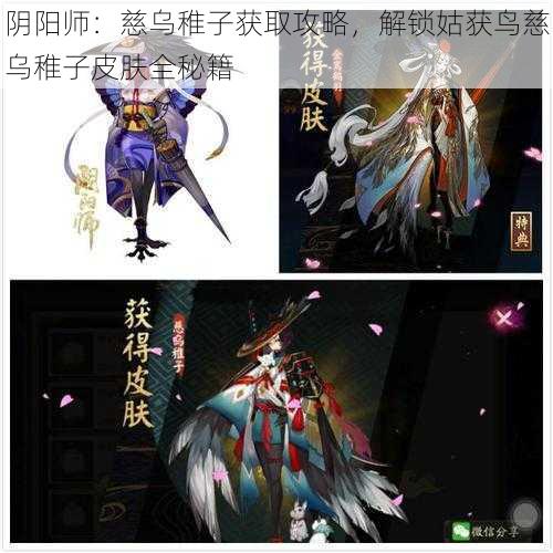 阴阳师：慈乌稚子获取攻略，解锁姑获鸟慈乌稚子皮肤全秘籍