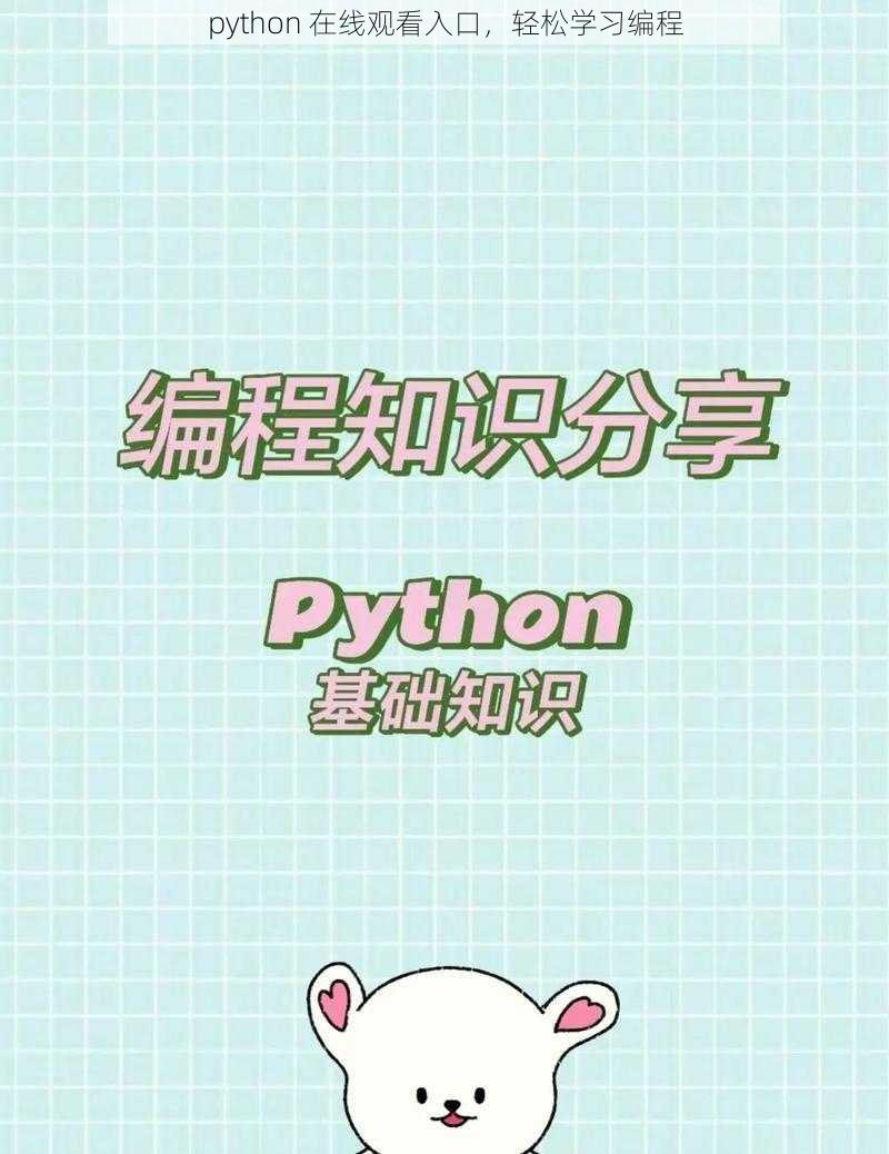 python 在线观看入口，轻松学习编程