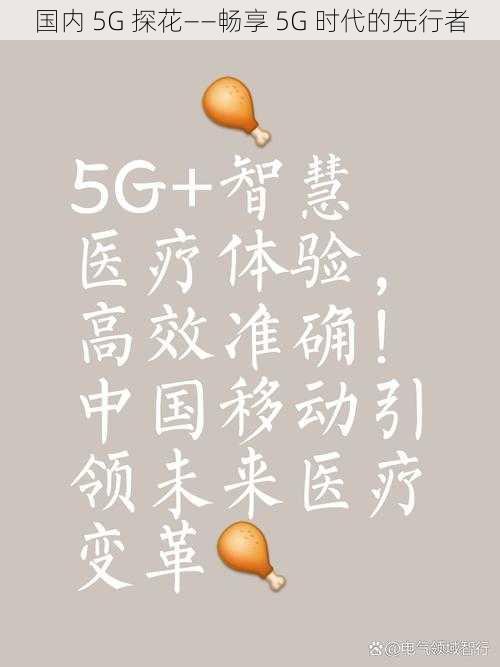 国内 5G 探花——畅享 5G 时代的先行者