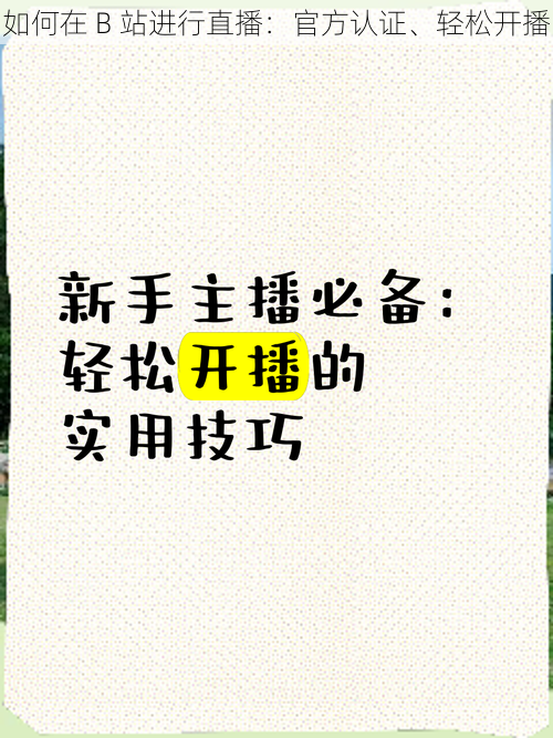 如何在 B 站进行直播：官方认证、轻松开播