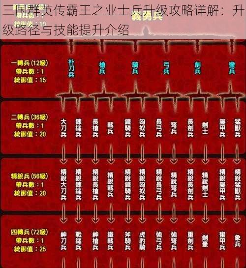 三国群英传霸王之业士兵升级攻略详解：升级路径与技能提升介绍