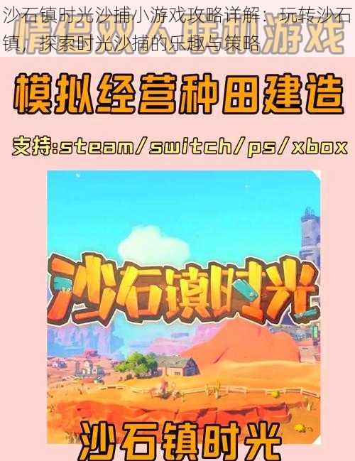 沙石镇时光沙捕小游戏攻略详解：玩转沙石镇，探索时光沙捕的乐趣与策略