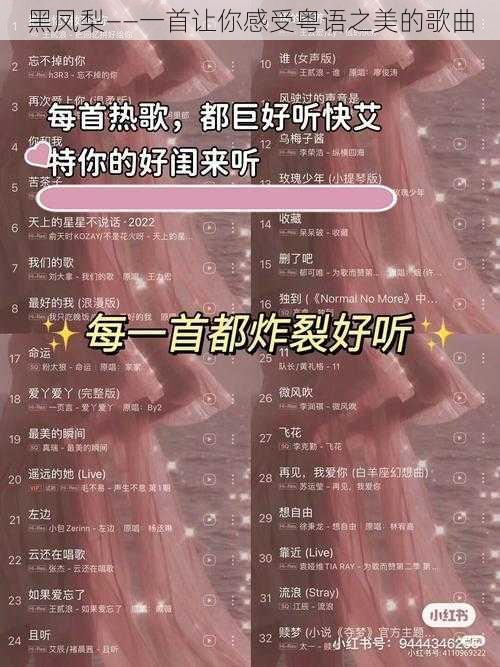 黑凤梨——一首让你感受粤语之美的歌曲