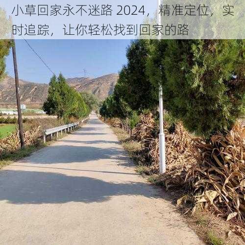 小草回家永不迷路 2024，精准定位，实时追踪，让你轻松找到回家的路