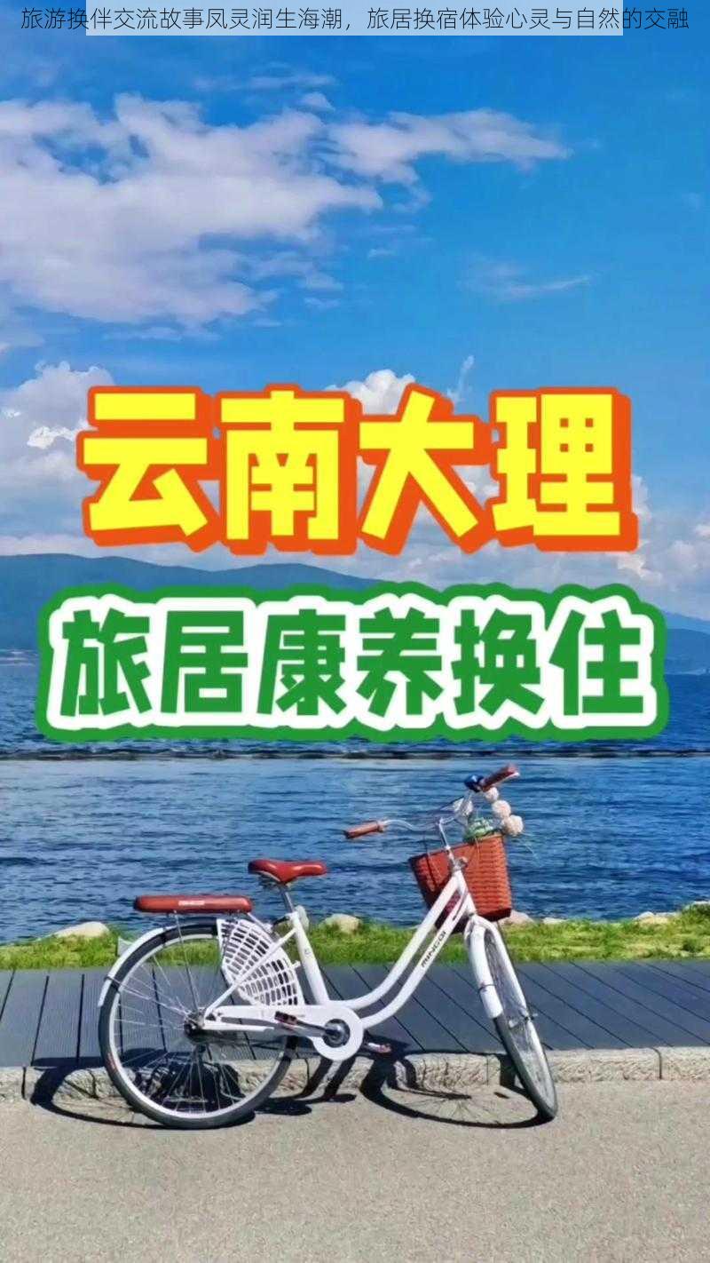 旅游换伴交流故事凤灵润生海潮，旅居换宿体验心灵与自然的交融