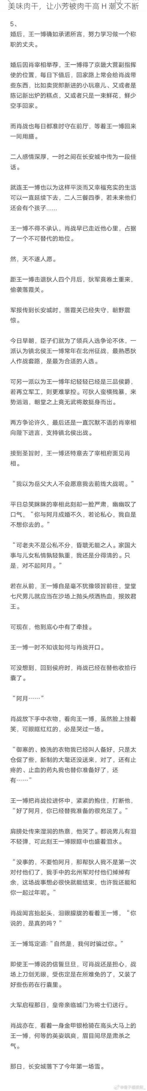 美味肉干，让小芳被肉干高 H 潮文不断