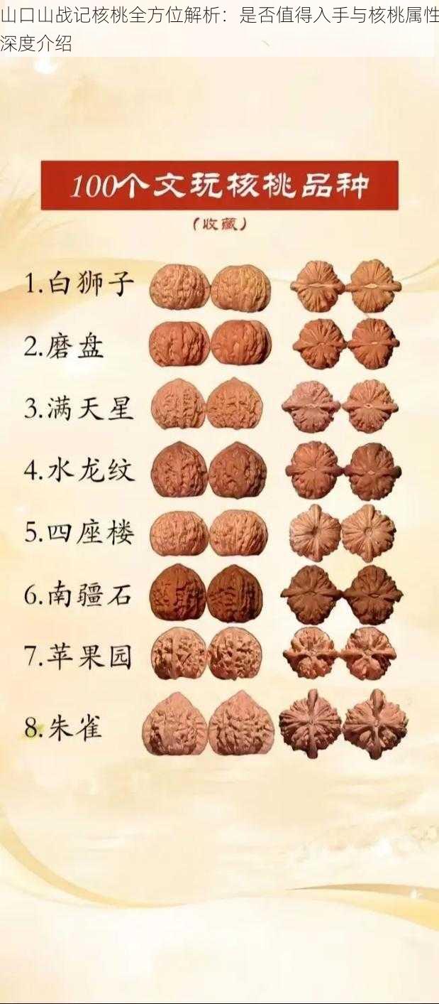 山口山战记核桃全方位解析：是否值得入手与核桃属性深度介绍