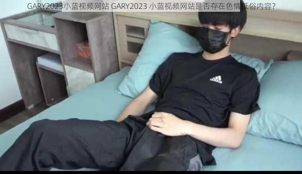 GARY2023小蓝视频网站 GARY2023 小蓝视频网站是否存在色情低俗内容？