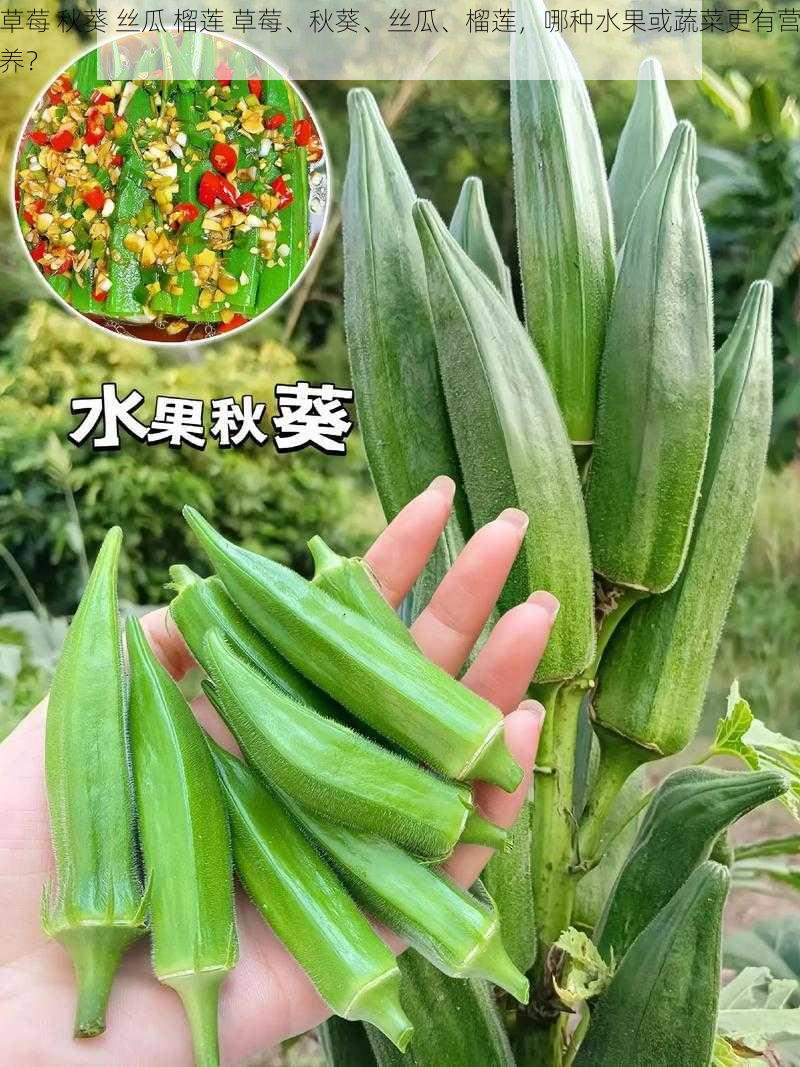 草莓 秋葵 丝瓜 榴莲 草莓、秋葵、丝瓜、榴莲，哪种水果或蔬菜更有营养？