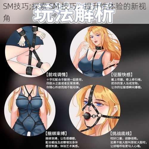 SM技巧;探索 SM 技巧：提升性体验的新视角