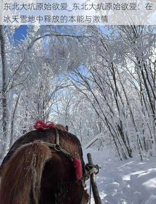 东北大坑原始欲爱_东北大坑原始欲爱：在冰天雪地中释放的本能与激情