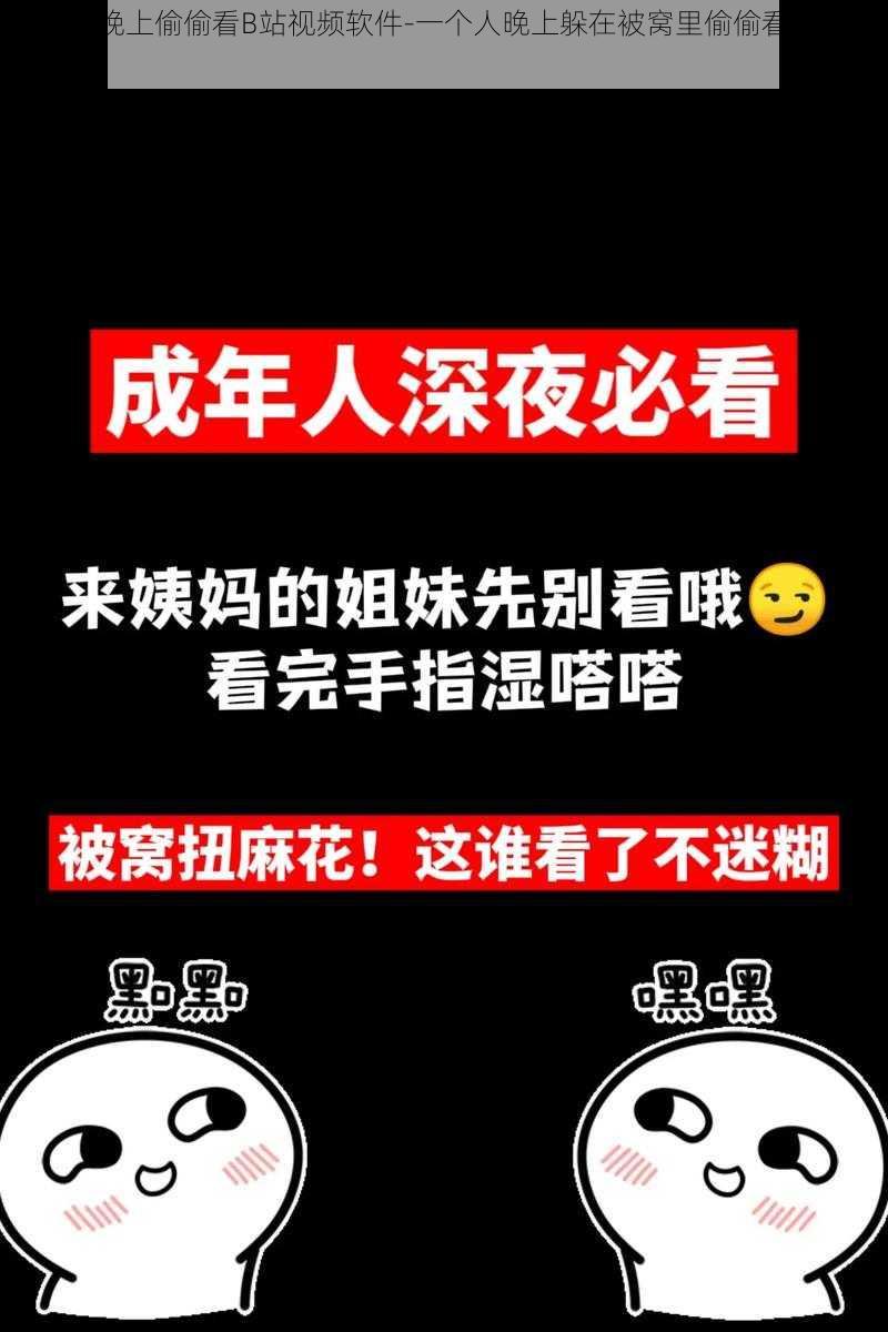 一个人晚上偷偷看B站视频软件-一个人晚上躲在被窝里偷偷看 B 站视频软件