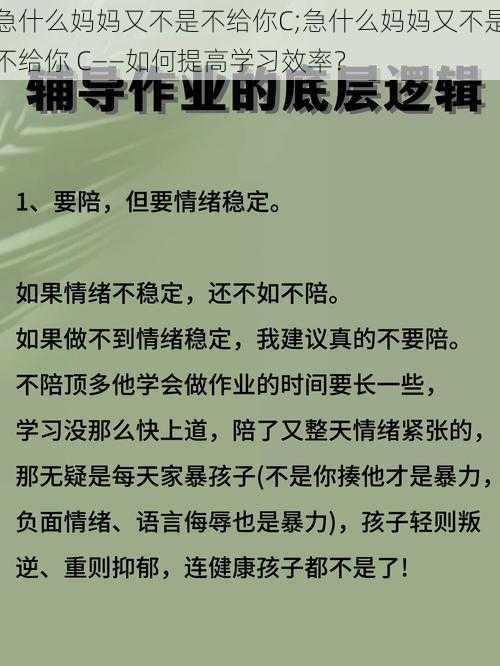 急什么妈妈又不是不给你C;急什么妈妈又不是不给你 C——如何提高学习效率？