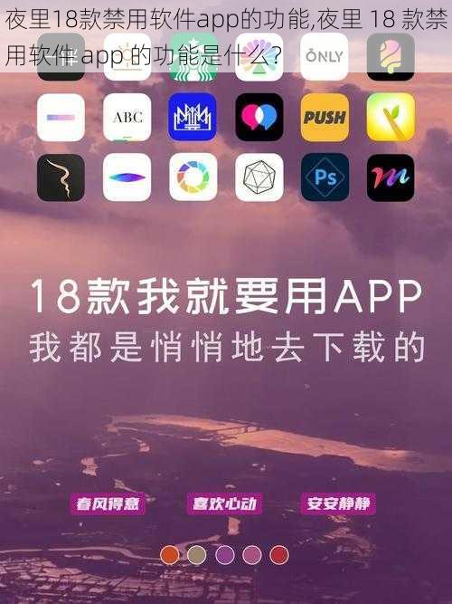 夜里18款禁用软件app的功能,夜里 18 款禁用软件 app 的功能是什么？