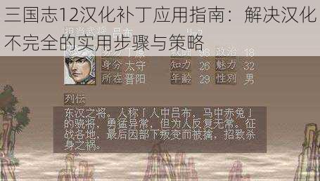 三国志12汉化补丁应用指南：解决汉化不完全的实用步骤与策略