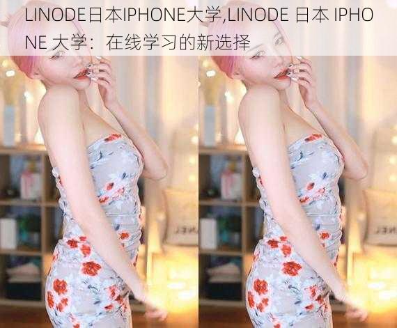 LINODE日本IPHONE大学,LINODE 日本 IPHONE 大学：在线学习的新选择