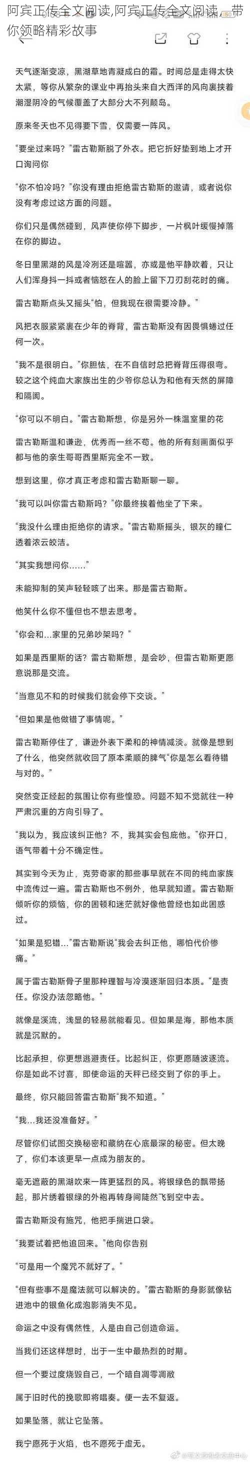 阿宾正传全文阅读,阿宾正传全文阅读，带你领略精彩故事