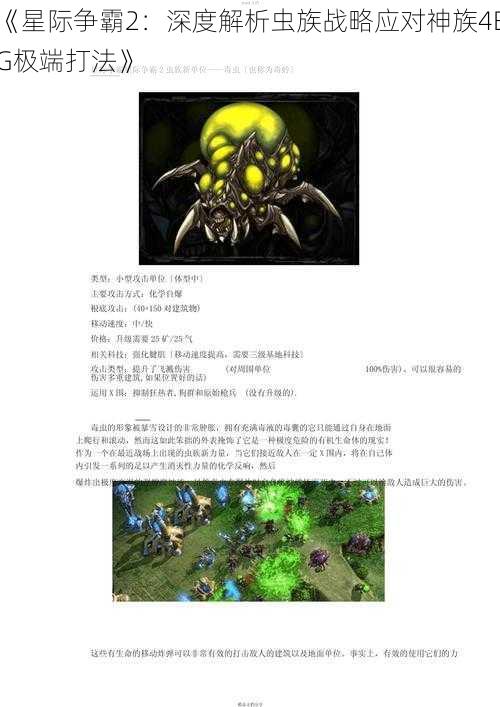 《星际争霸2：深度解析虫族战略应对神族4BG极端打法》