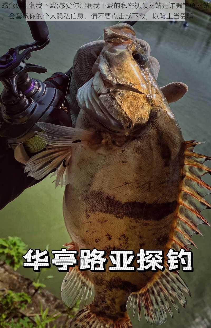 感觉你湿润我下载;感觉你湿润我下载的私密视频网站是诈骗钓鱼网站，会套取你的个人隐私信息，请不要点击或下载，以防上当受骗