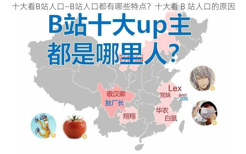 十大看B站人口—B站人口都有哪些特点？十大看 B 站人口的原因