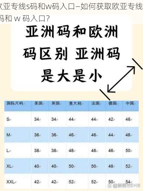 欧亚专线s码和w码入口—如何获取欧亚专线 s 码和 w 码入口？