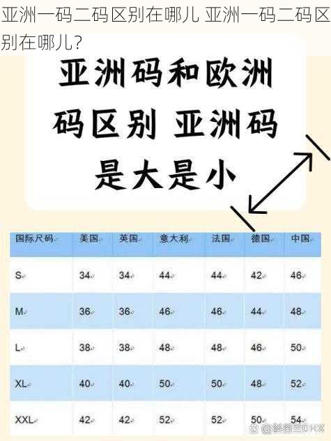 亚洲一码二码区别在哪儿 亚洲一码二码区别在哪儿？