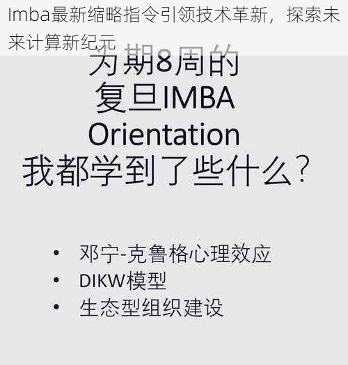 Imba最新缩略指令引领技术革新，探索未来计算新纪元