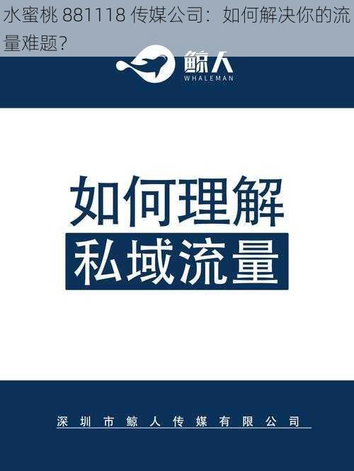 水蜜桃 881118 传媒公司：如何解决你的流量难题？