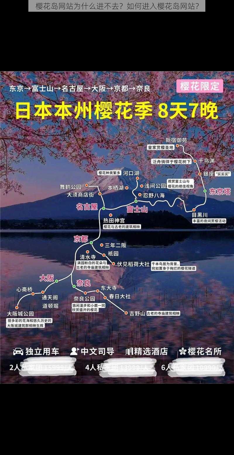 樱花岛网站为什么进不去？如何进入樱花岛网站？