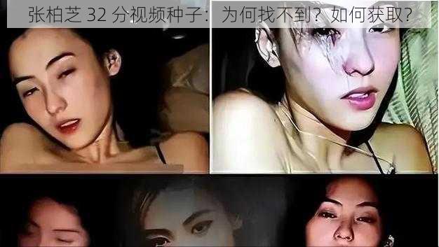 张柏芝 32 分视频种子：为何找不到？如何获取？