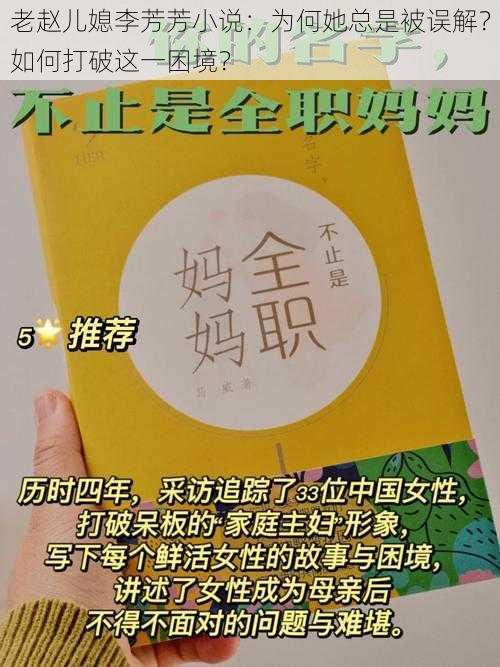 老赵儿媳李芳芳小说：为何她总是被误解？如何打破这一困境？