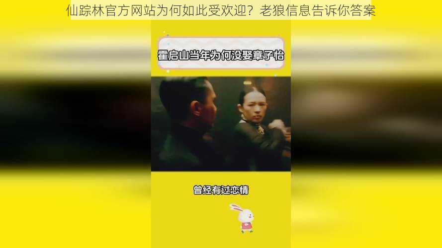 仙踪林官方网站为何如此受欢迎？老狼信息告诉你答案