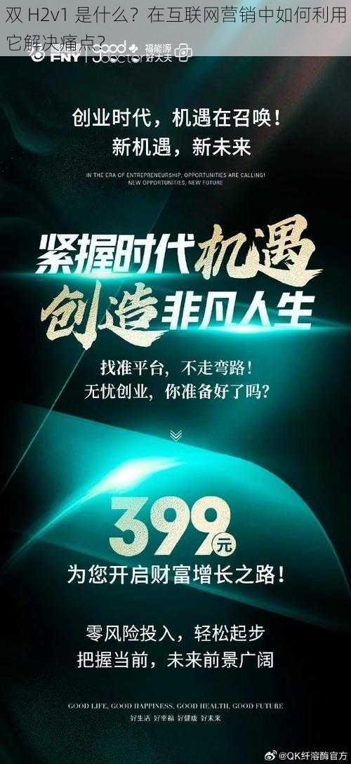 双 H2v1 是什么？在互联网营销中如何利用它解决痛点？