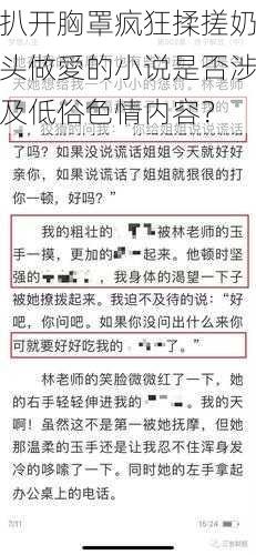 扒开胸罩疯狂揉搓奶头做愛的小说是否涉及低俗色情内容？