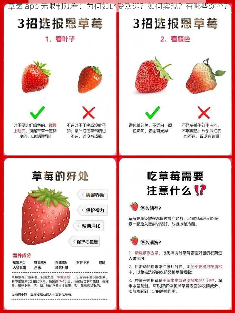 草莓 app 无限制观看：为何如此受欢迎？如何实现？有哪些途径？