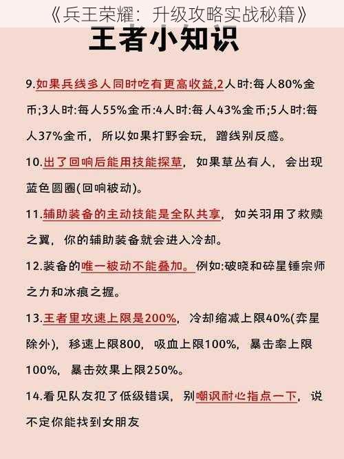 《兵王荣耀：升级攻略实战秘籍》