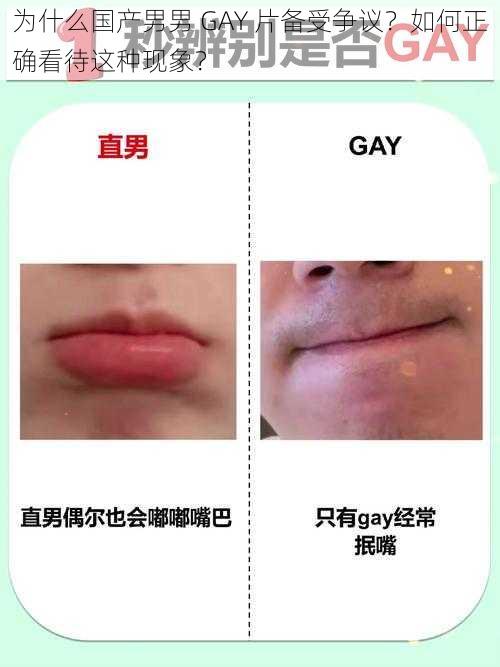 为什么国产男男 GAY 片备受争议？如何正确看待这种现象？