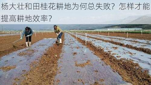 杨大壮和田桂花耕地为何总失败？怎样才能提高耕地效率？