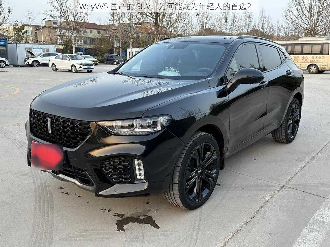 WeyVV5 国产的 SUV，为何能成为年轻人的首选？