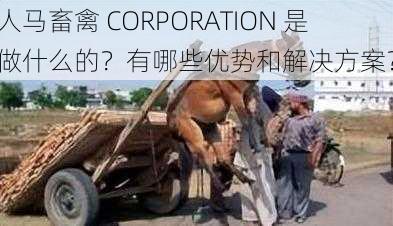 人马畜禽 CORPORATION 是做什么的？有哪些优势和解决方案？