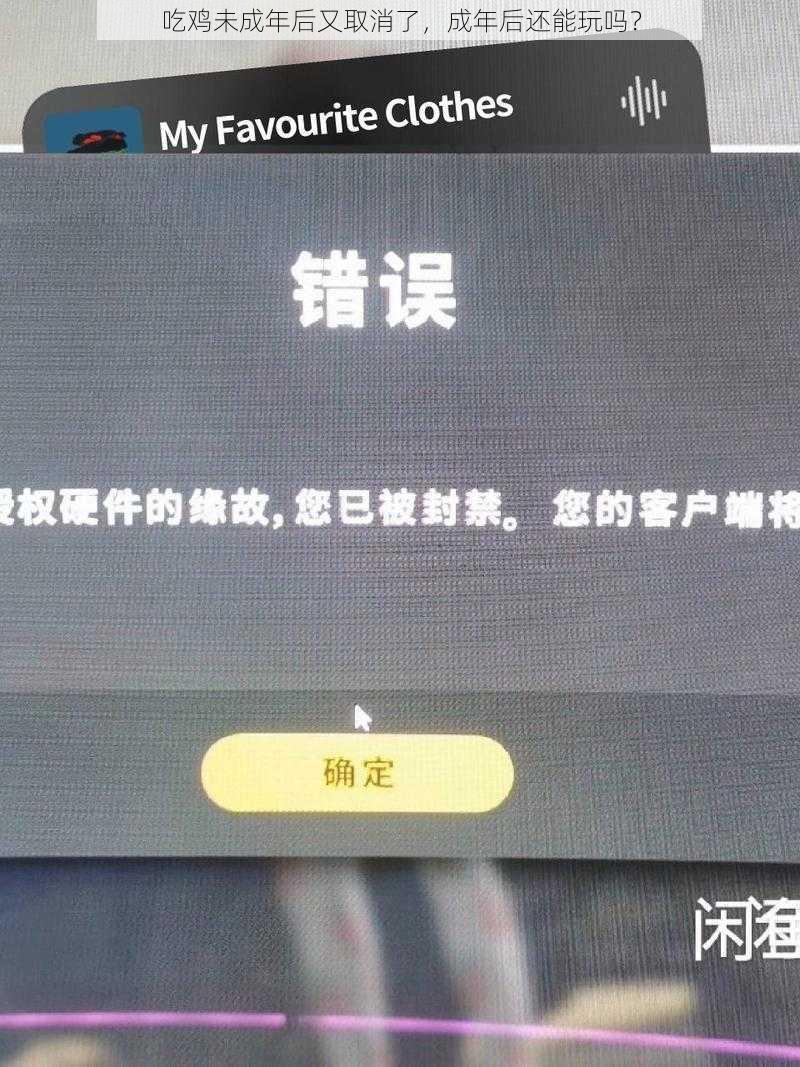 吃鸡未成年后又取消了，成年后还能玩吗？