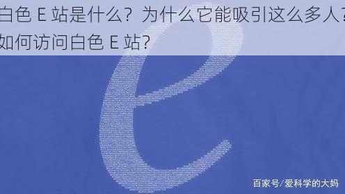 白色 E 站是什么？为什么它能吸引这么多人？如何访问白色 E 站？