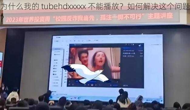 为什么我的 tubehdxxxxx 不能播放？如何解决这个问题？