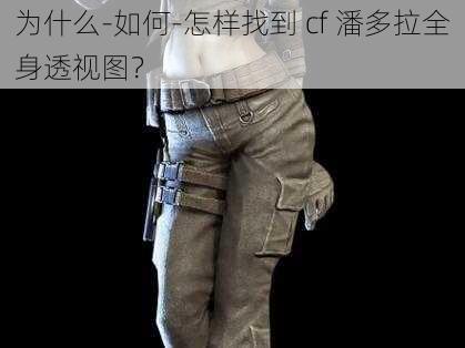 为什么-如何-怎样找到 cf 潘多拉全身透视图？