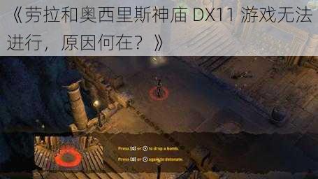 《劳拉和奥西里斯神庙 DX11 游戏无法进行，原因何在？》