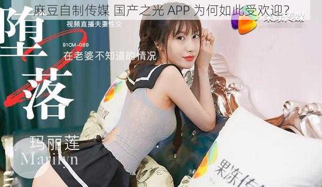 麻豆自制传媒 国产之光 APP 为何如此受欢迎？