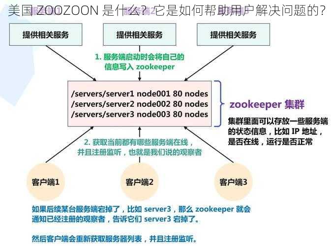 美国 ZOOZOON 是什么？它是如何帮助用户解决问题的？