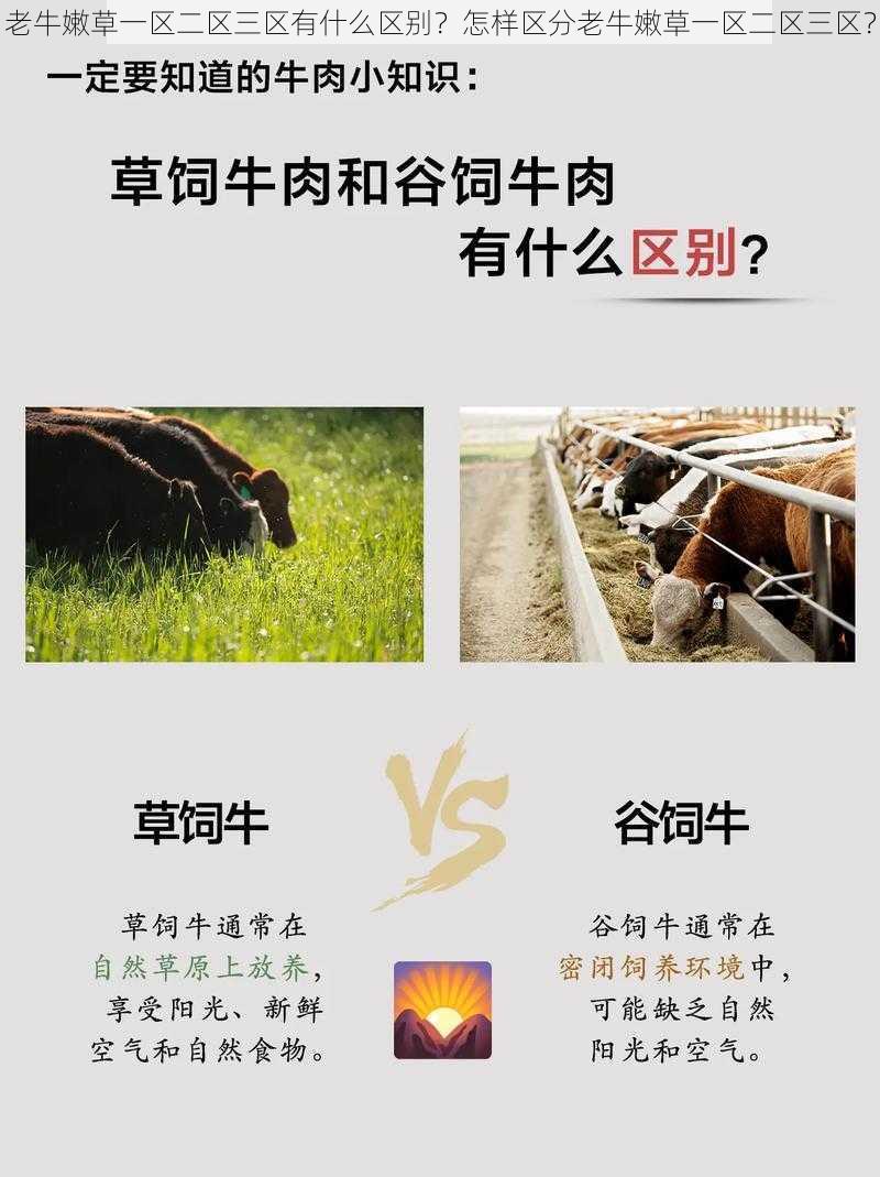 老牛嫩草一区二区三区有什么区别？怎样区分老牛嫩草一区二区三区？