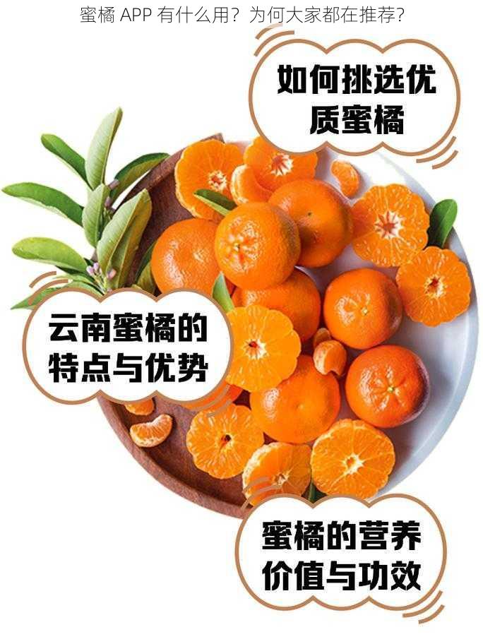 蜜橘 APP 有什么用？为何大家都在推荐？