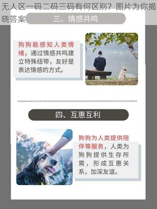 无人区一码二码三码有何区别？图片为你揭晓答案